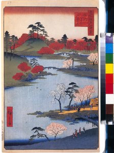 Le jardin du temple Hachiman a Fukagawa (cent vues celebres de Edo) - Oeuvre de Utagawa Hiroshige (1797-1858), estampe japonaise, vers 1858 - (Nyitott kert a Hachiman-szentélynél Fukagawa-ban (1000 híres Edo színes kilátásai) Hiroshige fametszete, kb alkotó: Ando or Utagawa Hiroshige