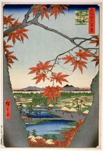 Maples at Mama, a „100 Views of Famous Places in Edo” sorozatból („Meisho Edo hyakkei”), pub. írta: Uoya Eikichi