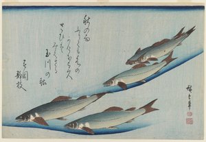 Öt tengeri pisztráng iskola, Edo-korszak (színes fametszet, papír) alkotó: Ando or Utagawa Hiroshige