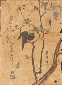 Az ágon alvó madár tanulmányozása alkotó: Ando or Utagawa Hiroshige
