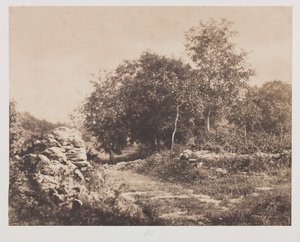 Cím nélkül (Fontainebleau jelenete)