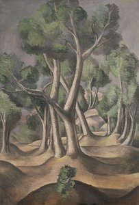 A liget alkotó: Andre Derain