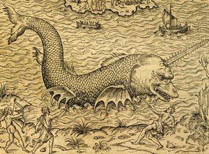 Tengeri szörny, metszet az Univerzális Kozmológiából, Andre Thevet (1504-1592), Párizs alkotó: Andre Thevet