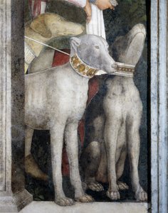 Molossian kutyák, részlet a Találkozó falról alkotó: Andrea Mantegna