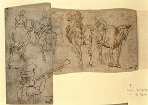 Inv no.38 recto Sketch of Horses, c. 1460-70 (toll és tinta) alkotó: Andrea Verrocchio