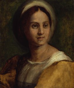  alkotó: Andrea del Sarto