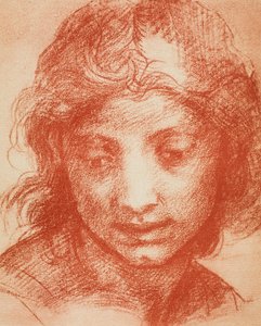 Boys Head alkotó: Andrea del Sarto