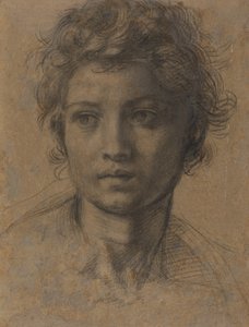 Keresztelő Szent János feje alkotó: Andrea del Sarto