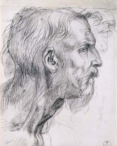 Egy apostol feje, az „Utolsó vacsora” freskójához a firenzei San Salvi kolostorban, 1520-25 körül (szén) alkotó: Andrea del Sarto