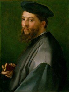 Egy férfi portréja alkotó: Andrea del Sarto