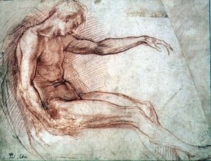 Ülő férfi akt (piros kréta papíron) alkotó: Andrea del Sarto