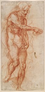 Studie für Johannes den Täufer alkotó: Andrea del Sarto