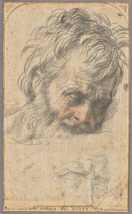 Tanulmány Szent József fejéhez (recto); két tanulmány lábakról (verso) alkotó: Andrea del Sarto