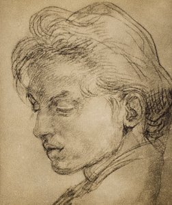Fiatal fej profilban alkotó: Andrea del Sarto