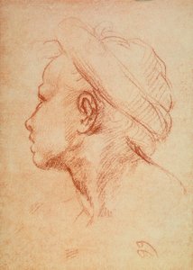 Fiatalok feje profilban alkotó: Andrea del Sarto