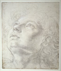 Angyalfej alkotó: Andrea del Verrocchio