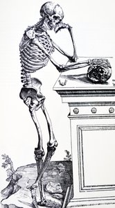 Emberi csontváz koponyával a kezében. Vesalius "De Humani Corporis Fabrica"-ból. Lehetséges favágó: Jan von Calcar