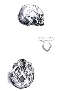 A tányérok a De Humani Corporis Fabrica első könyvéből alkotó: Andreas Vesalius