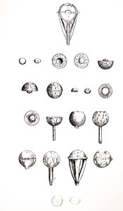 A tányérok a De Humani Corporis Fabrica hetedik könyvéből alkotó: Andreas Vesalius