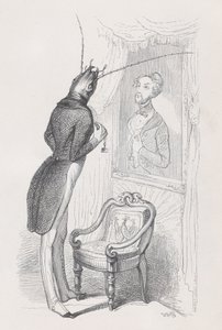 Egy nagyon jól kidolgozott rovar és gyönyörű táncos a Scenes from the Private and Public...-ból, kb. 1837-47.