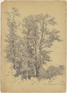 Oaks, Wolf Hill, Ulster megye