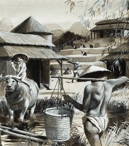 Mezőgazdaság Kínában (gouache, papír) alkotó: Andrew Howat
