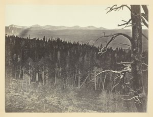 Snow and Timber Line, Medicine Bow Mountain alkotó: Andrew Joseph Russell
