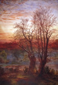 „Burnham Beeches”, 1841-1902