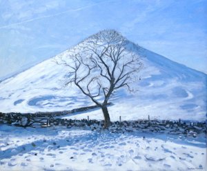 Hill and Tree, Derbyshire, 2008 alkotó: Andrew Macara