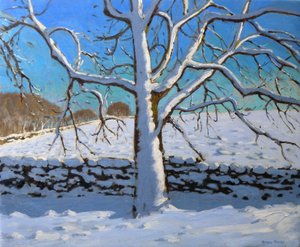 Hóval borított fa, 2011 (olaj, vászon) alkotó: Andrew Macara