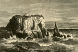 Coast Scene, Marin County, 1872. alkotó: Andrew Varick Stout Anthony