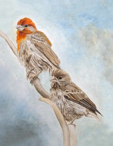 Pintyek egy ágon alkotó: Angeles M. Pomata