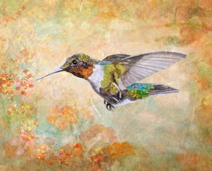 Rubinvörös torokú kolibri