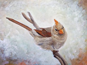 Éber nőstény kardinális alkotó: Angeles M. Pomata