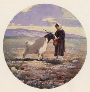 Goatherd, Attika, Görögország (színes litó)