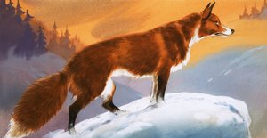Róka a hóban alkotó: Angus McBride