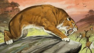 Szablyafogú tigris vadászik alkotó: Angus McBride