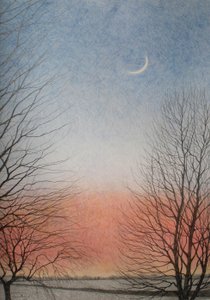 Kora este, 2010 (színes ceruza papíron) alkotó: Anna Phillips