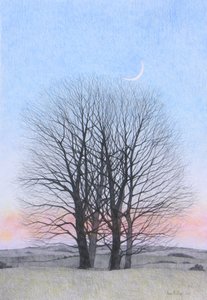 Újhold, 2011 (színes ceruza papíron) alkotó: Anna Phillips