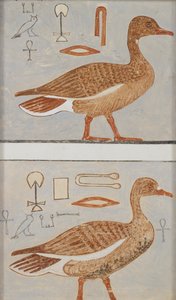 Falfestmény másolata Kaemankh magánsírjából, III, 1, 132, Giza, libák, XX. század