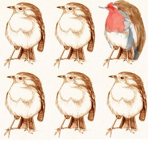 Vörösbegy