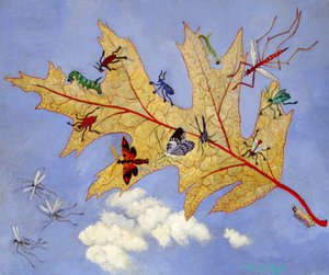 Őszi levél, 2009 (akril) alkotó: Anna Pugh