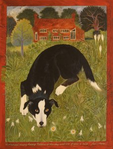 Collie kutya (akril) alkotó: Anna Pugh