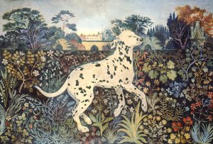 Sophie alkotó: Anna Pugh