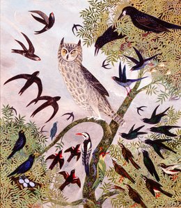  alkotó: Anna Pugh