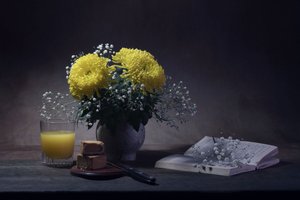 Hangulatos olvasási pillanat alkotó: Anna Qu