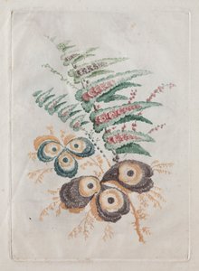 Új virágportfólió-csomag, amely ideális a tervezéshez és a festéshez: Virágos fantáziák, c. 179