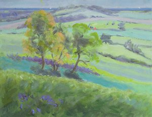 Winchelsea felé, Sussex, Bluebells tavasszal
