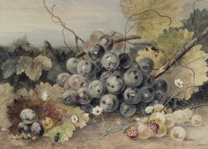 Szőlő és eper alkotó: Anne Frances Byrne