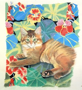Kormos és Dufy Fabric